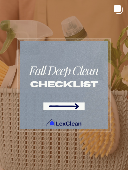 LexClean Instagram post