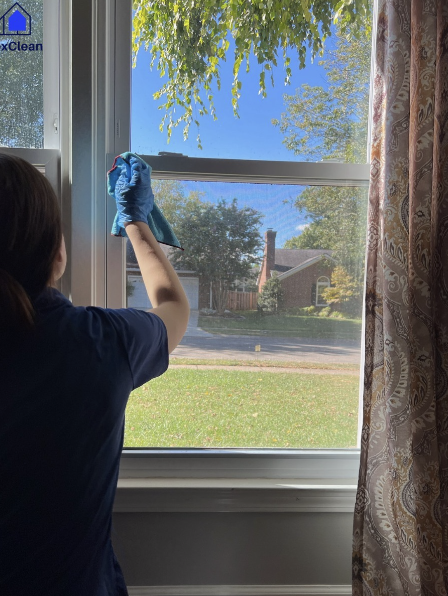 LexClean Instagram post